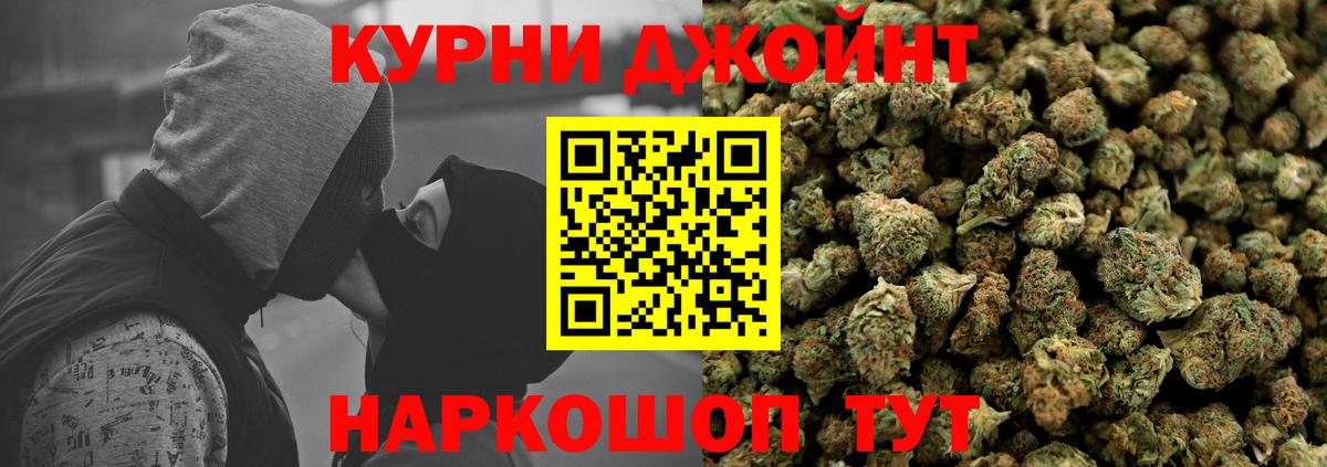 Шишки марихуана марихуана Новокузнецк